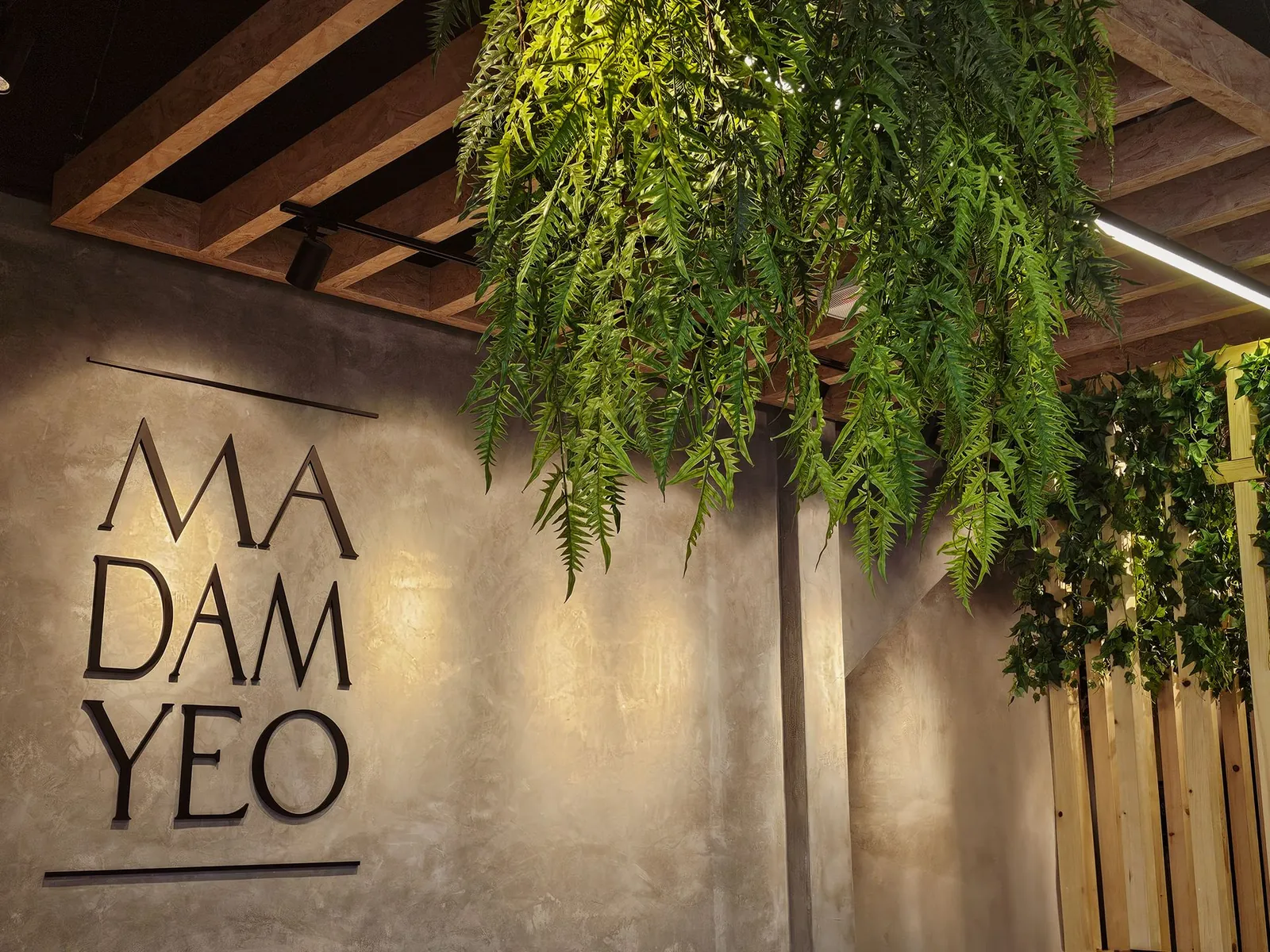 Madam Yeo Hair Care 标志墙，垂挂蕨类和木条天花