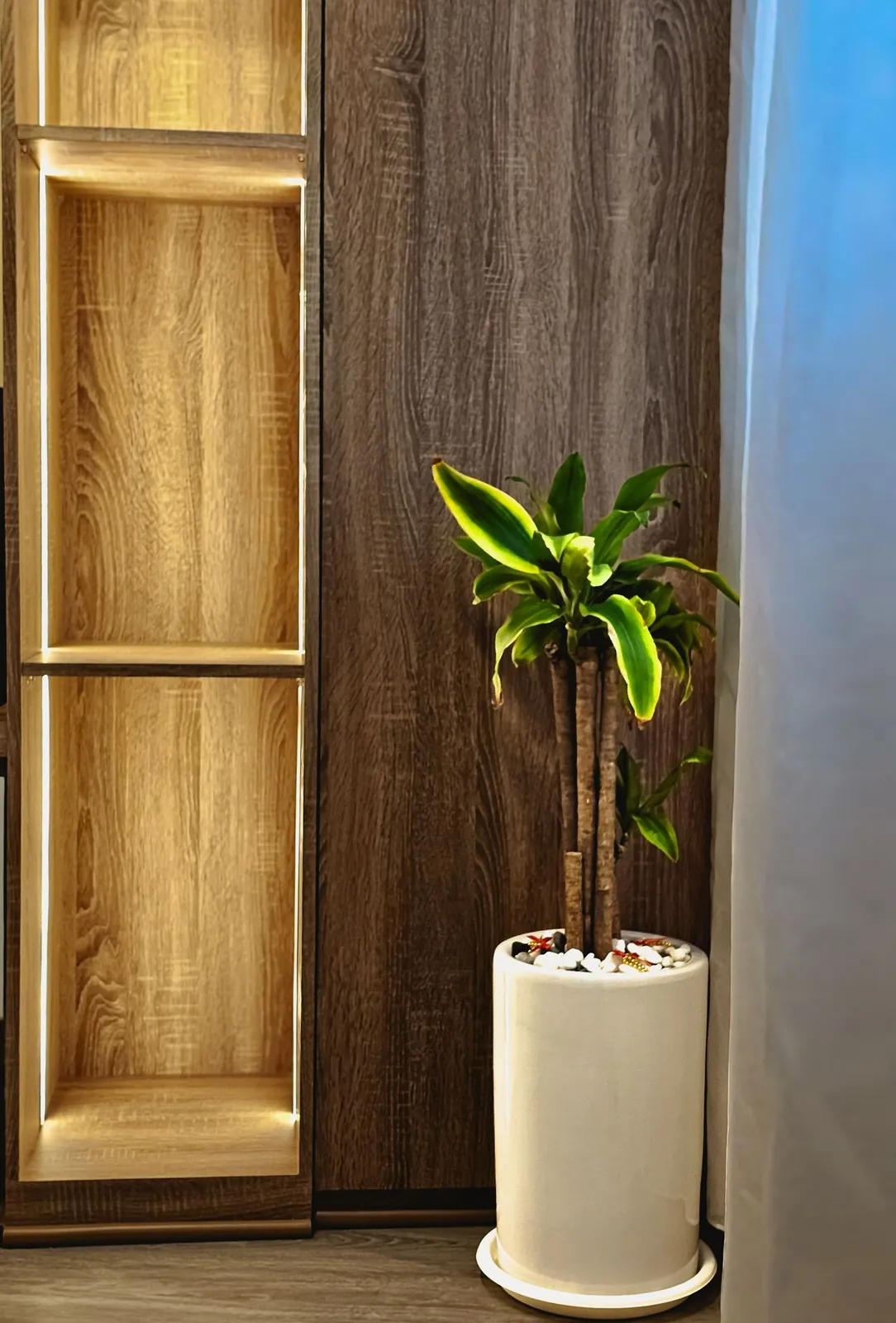 Taman Kesidang lit open wood-grain shelf beside dark wood panel